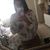 Anne Mascarenhas's profile image