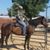 Tamese J Neal's profile image