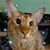 Christine Brown's profile image
