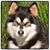 Mary Swinyer's profile image