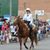 Peggy Kneller Hartman's profile image