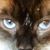 Patti Maxwell's profile image