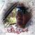 Dena Hatfield's profile image