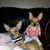 Rhonda Marlow's profile image