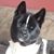 Christian Gionet's profile image