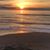 Cindy Sadecki-Wright's profile image