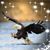 Marge Pahlke Diaz's profile image