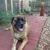 Marti Willcox's profile image