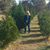 Mary Anderson's profile image