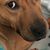 Wendie Levan's profile image