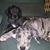 Kathy Smith's profile image