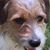 Donna Clinton's profile image
