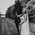 Brandy Lynn Moege's profile image