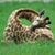 Stacia Bourbeau's profile image