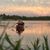 Dan Triemstra's profile image