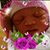 Tammy McAlpine's profile image