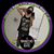 Rick Dopey Sobel's profile image