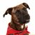 Robert William Drennan's profile image