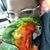Jenny Baustert's profile image