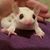 Jen Hammarstrom's profile image