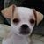Mary Hartshorne's profile image