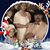 Marlys Bulgin's profile image