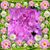 Rene Savard McGee's profile image