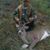 Mike Cash's profile image