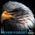 Judy Scholl Bandl July's profile image