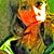 Meagan Ellis's profile image