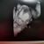 Patrick Drobny's profile image