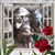 Rebecca Sulin's profile image