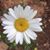 Brenda Stephens's profile image