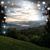 Kimberly M Bradley's profile image
