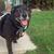 Scott Naden's profile image
