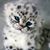 Sharon Morton's profile image