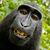 Scott Hildebrand's profile image