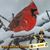 B-raine Groth Weitz's profile image