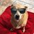 Robert Pennington's profile image