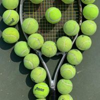 Rob Wiley's profile image