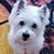 Nancy Baraky's profile image