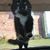 Susan M Alexander's profile image