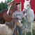 Donald F. Pincombe's profile image