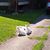 Margaret Bidinotto's profile image