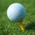 Terry Graves's profile image