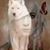 Trisha Davis's profile image