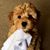 Linda D'Souza's profile image