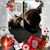 Micki Moore's profile image