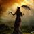 Tracey Parkhurst's profile image