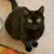 Ginny Marcom's profile image